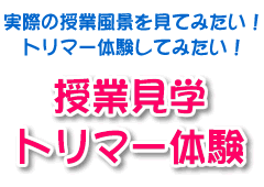 授業見学・トリマー体験